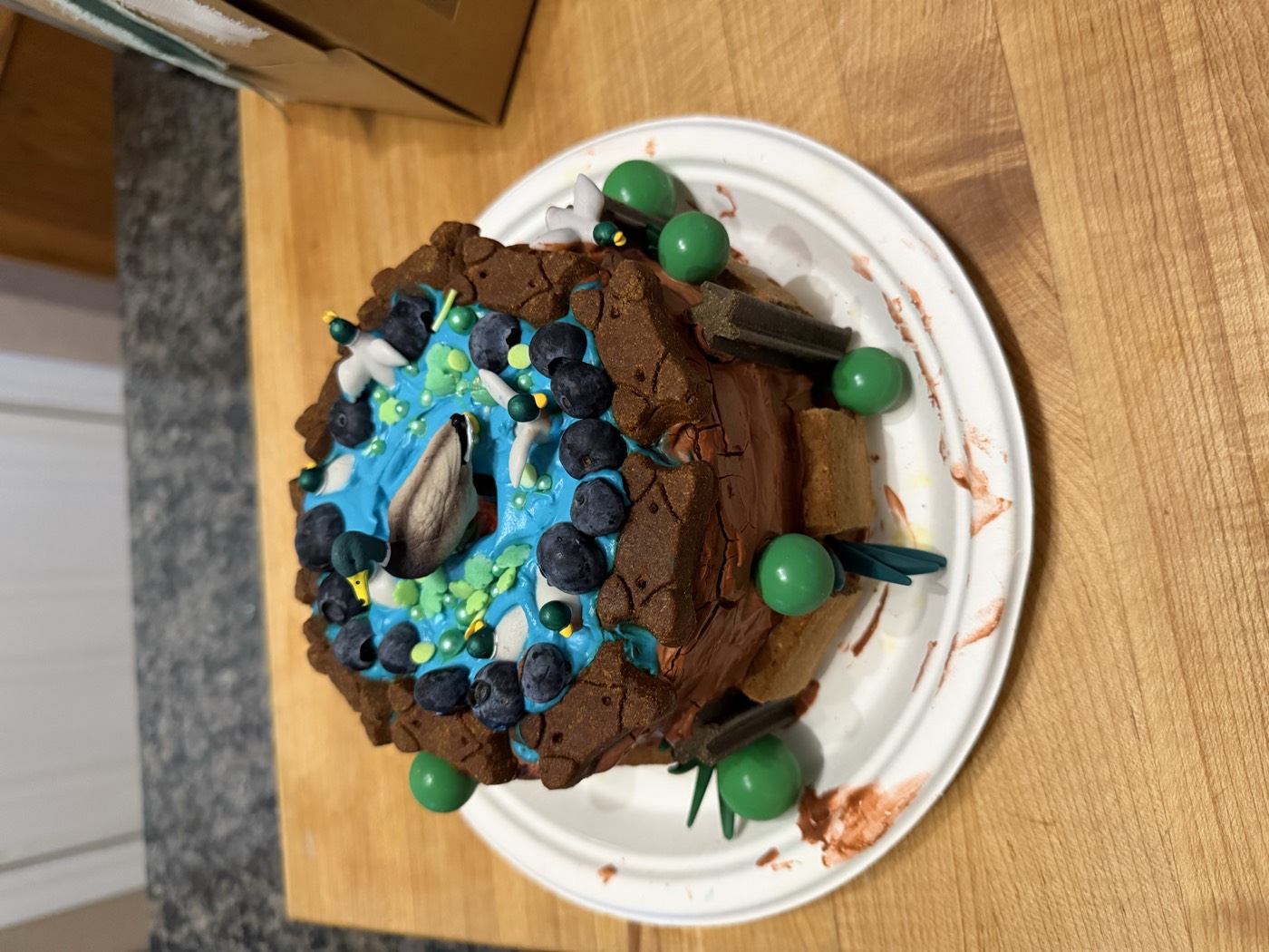 Duck pond themed dog birthday cake with mallard topper and blueberries, made for Riley's birthday party
