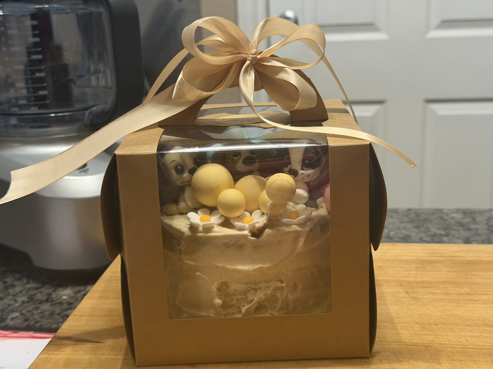 Dog birthday cake packaged in a gift box with ribbon